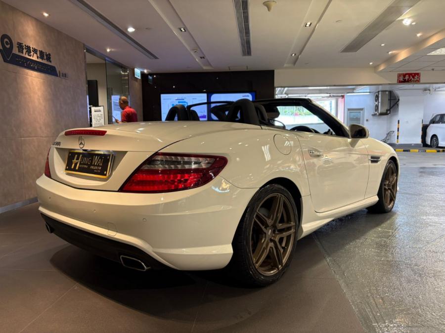 SLK200 - Image 2